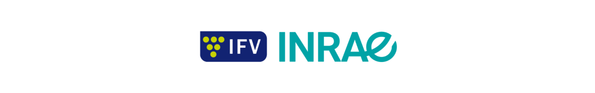 IFV INRA IFV INRA