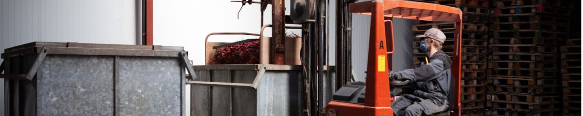 CleanPROCESS CleanPROCESS