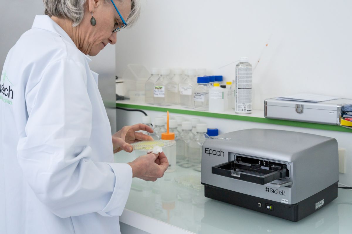 Diagnostic sanitaire Diagnostic sanitaire