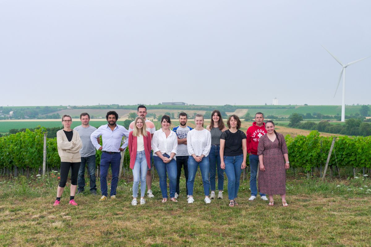 Projets collaboratifs Projets collaboratifs