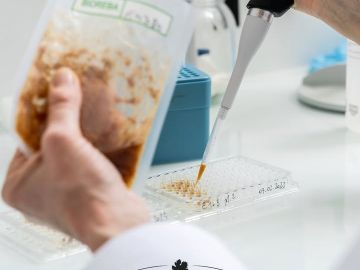 🌱 Vérifiez la santé de vos vignes dès maintenant !
🔬 La saison idéale pour le prélèvement d’échantillons de bois est arrivée, et nos équipes sont déjà...