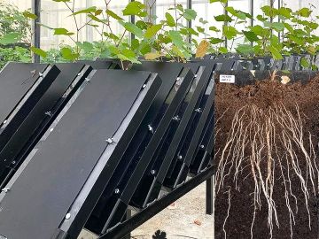 Des rhizotrons au service de l’innovation chez Novatech
Au laboratoire Novatech, nous nous efforçons de développer de nouvelles génétiques pour relever les...