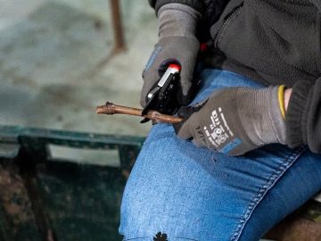 🌱 Début de la saison de production des plants expérimentaux ! 
La première étape de ce processus essentiel est terminée : la récolte du matériel végétal...