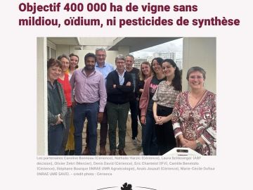 https://www.vitisphere.com/actualite-103640-400-000-ha-de-vigne-sans-mildiou-oidium-ni-pesticides-de-synthese-.html

 #INRAE #inrae  #IFV #ifv  #cerience...