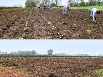 🌱 Programme NATHY : Nouvelles parcelles !
Deux nouvelles parcelles viennent enrichir notre programme cette année. 🍇 La première est dédiée au projet...