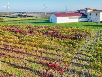 🍁✨ L’Automne s’éveille au laboratoire ! ✨🍁

Alors que les températures se rafraîchissent et que les journées raccourcissent, notre laboratoire se...