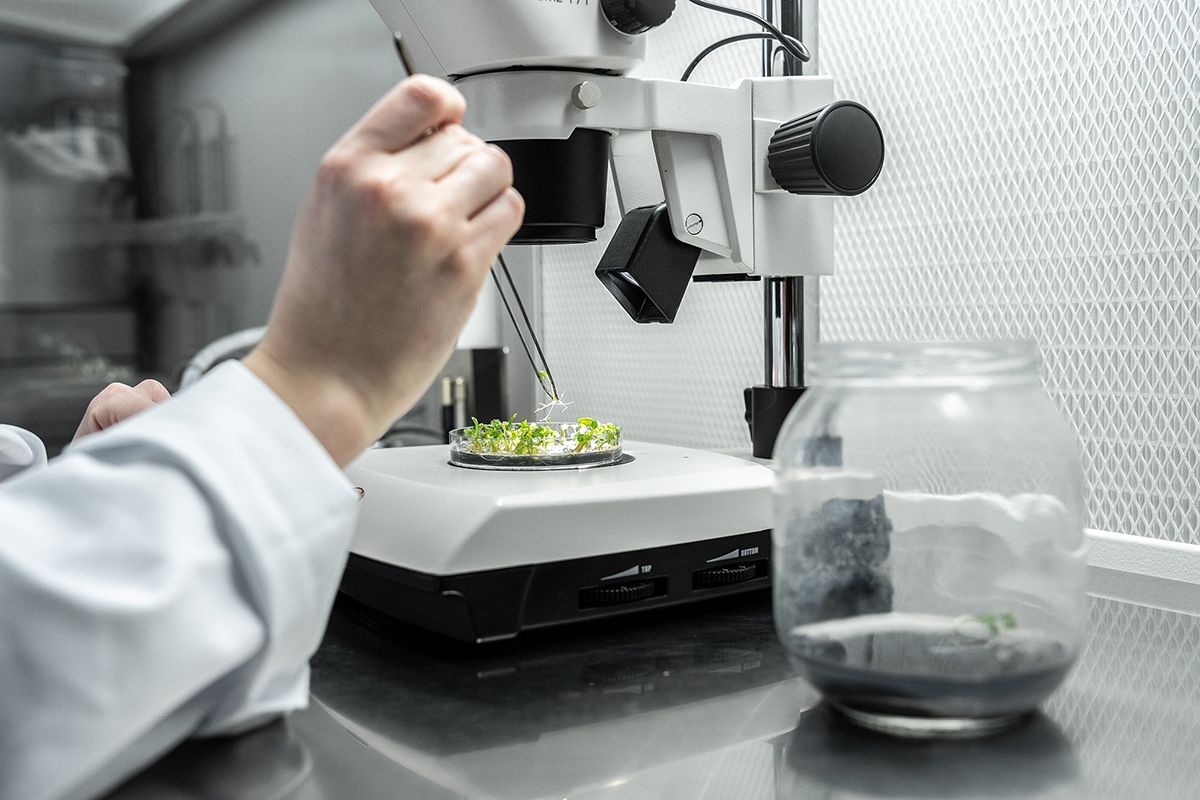 recherche et d&eacute;veloppement