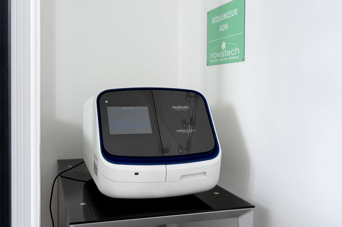 s&eacute;quenceur ADN