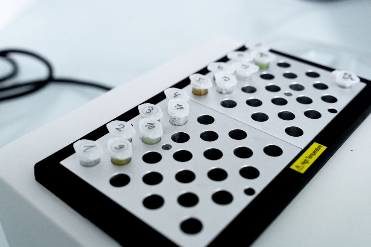 Identification vari&eacute;tale