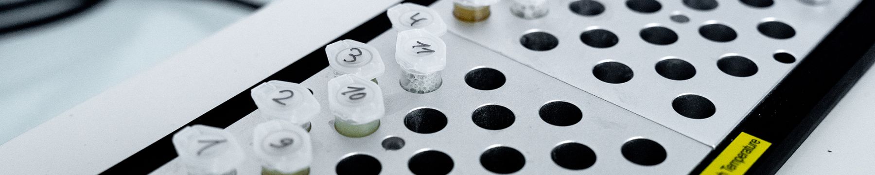 Varietal identification