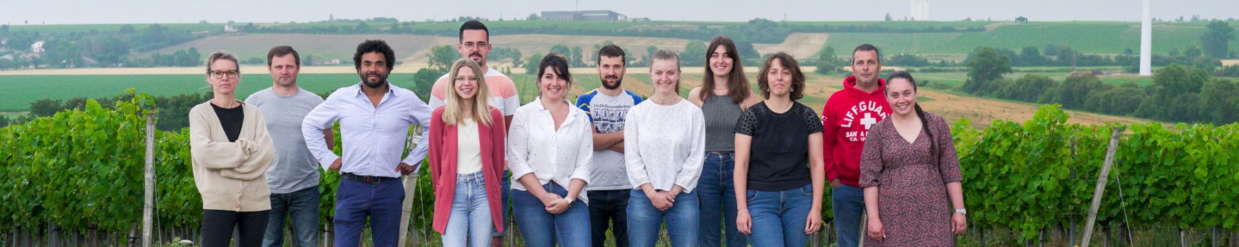 Proyectos colaborativos