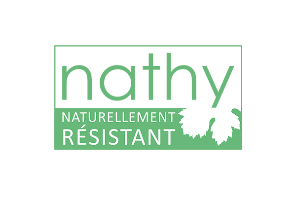 Vari&eacute;t&eacute; r&eacute;sistante Nathy